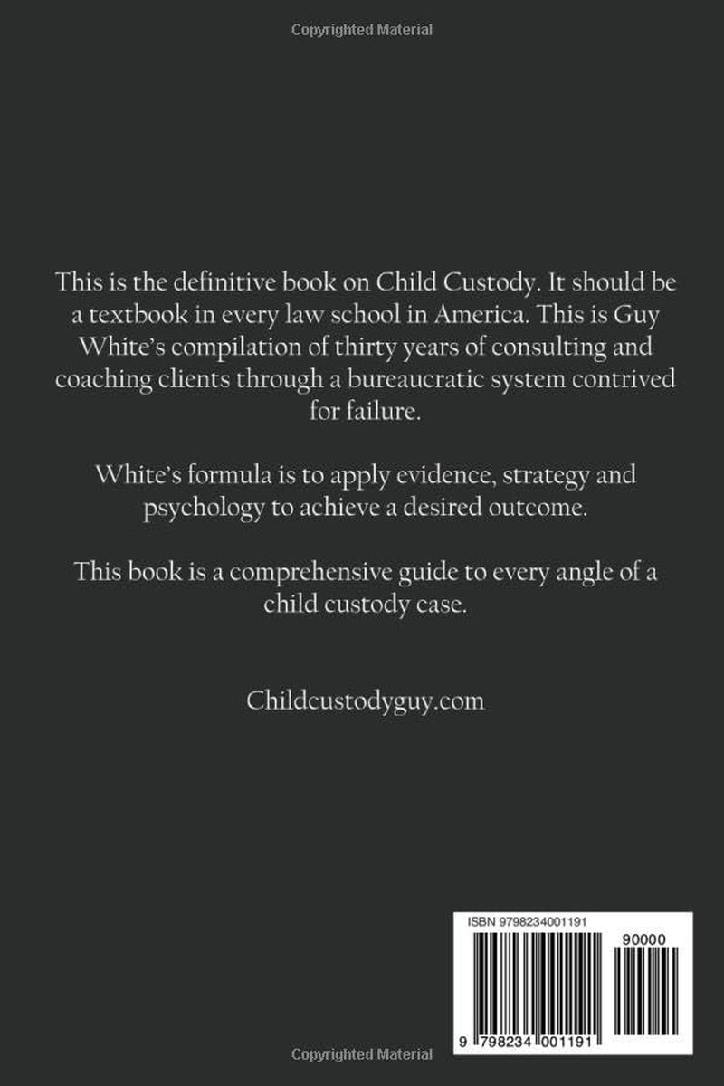 Child Custody Guy: Formula for Winning