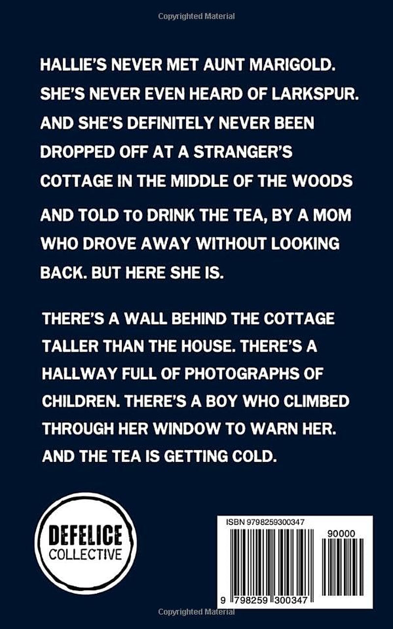 Never Visit Aunt Marigold (Books With Teeth)