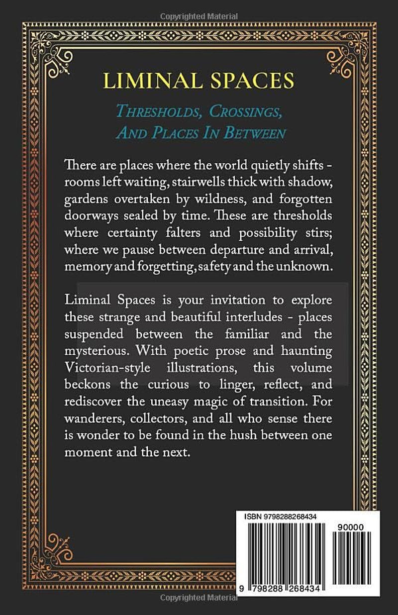 Liminal Spaces: Thresholds, Crossings, And Places In Between (Library Mirabilis)