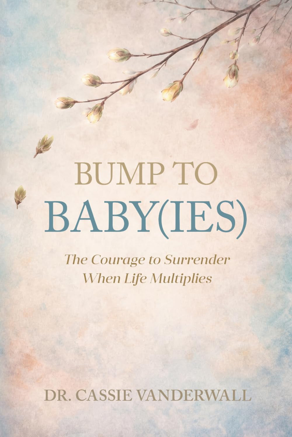 BUMP TO BABY(IES): The Courage to Surrender When Life Multiplies (Bump to Big Kids)