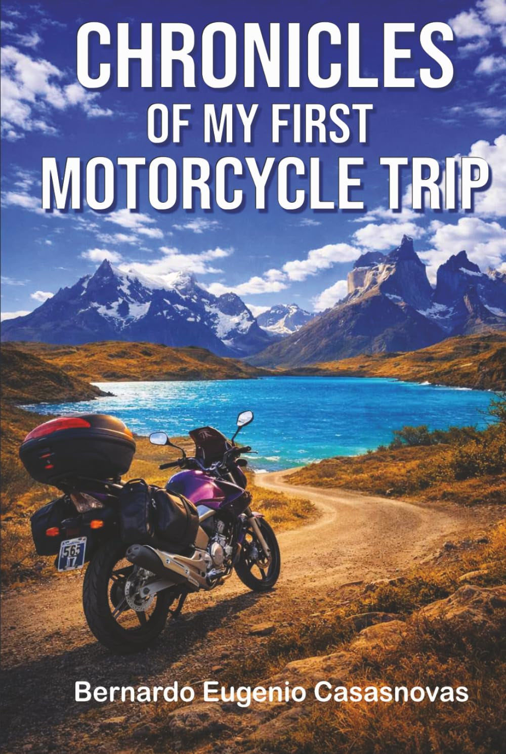 Chronicles of my first motorcycle trip: A Motorcyclist's Diary Through Patagonia: Ushuaia, Torres del Paine and Perito Moreno Glacier