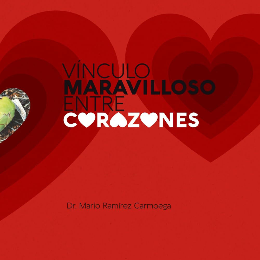 Vínculos Maravillosos entre Corazones (Spanish Edition)