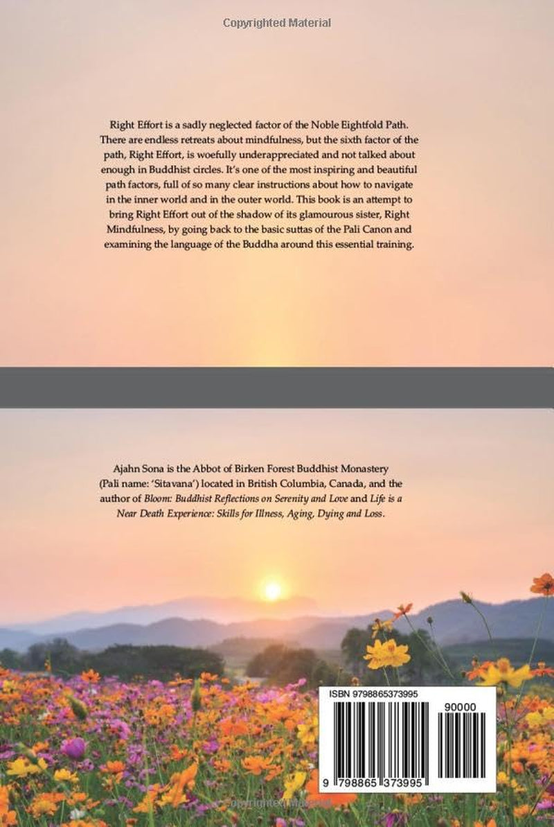 What Comes Before Mindfulness?: Effective Effort: How to Garden Your Inner Life