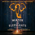 Water For Elephants Original