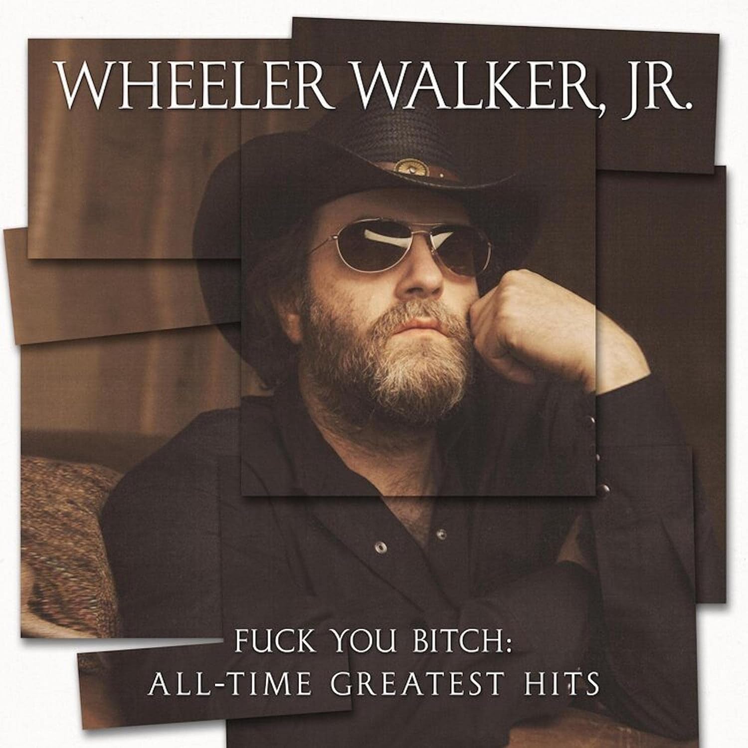 Fuck You Bitch: All-time Greatest Hits Explicit Lyrics
