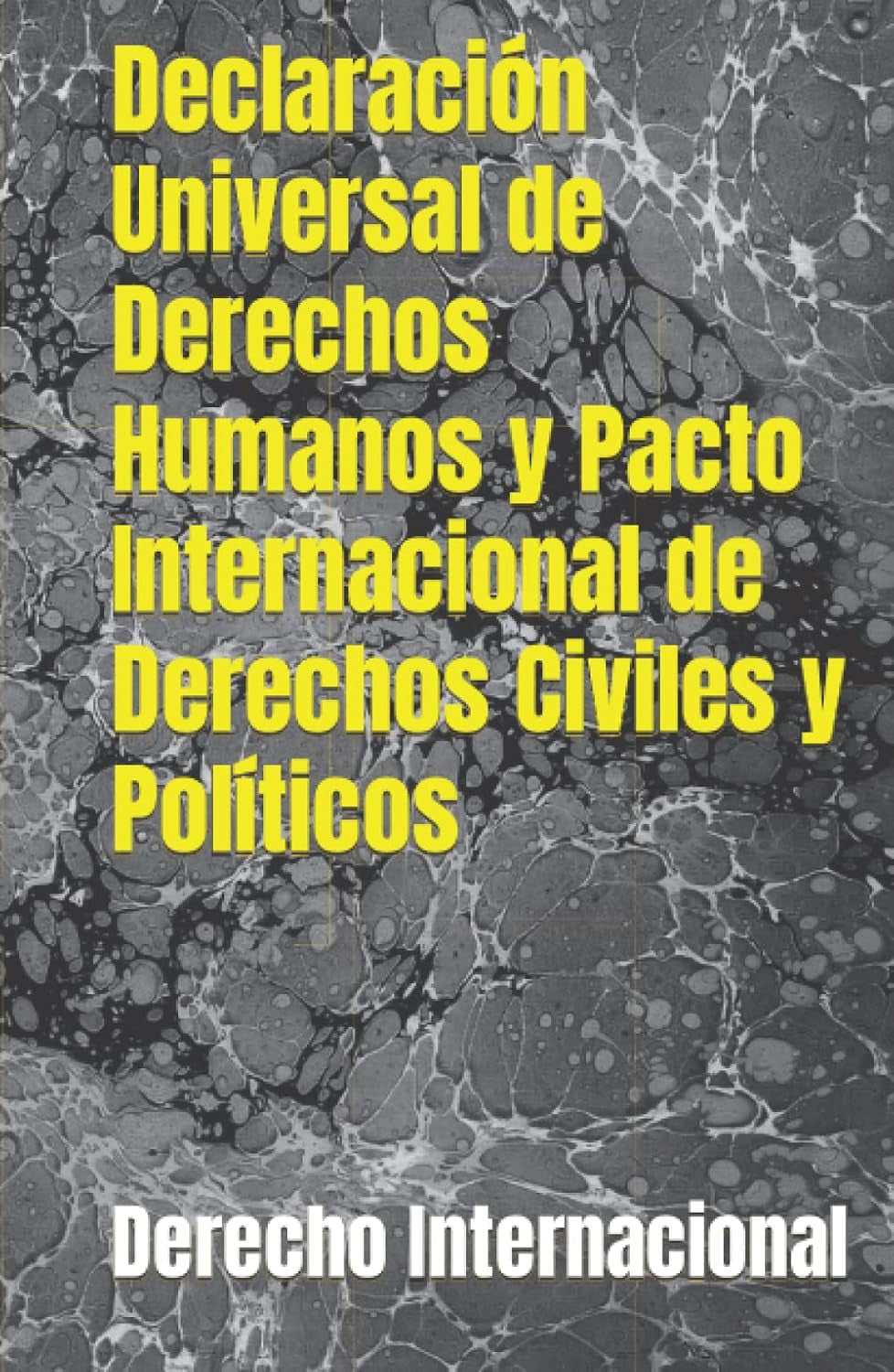 Declaración Universal de Derechos Humanos y Pacto Internacional de Derechos Civiles y Políticos (Spanish Edition)