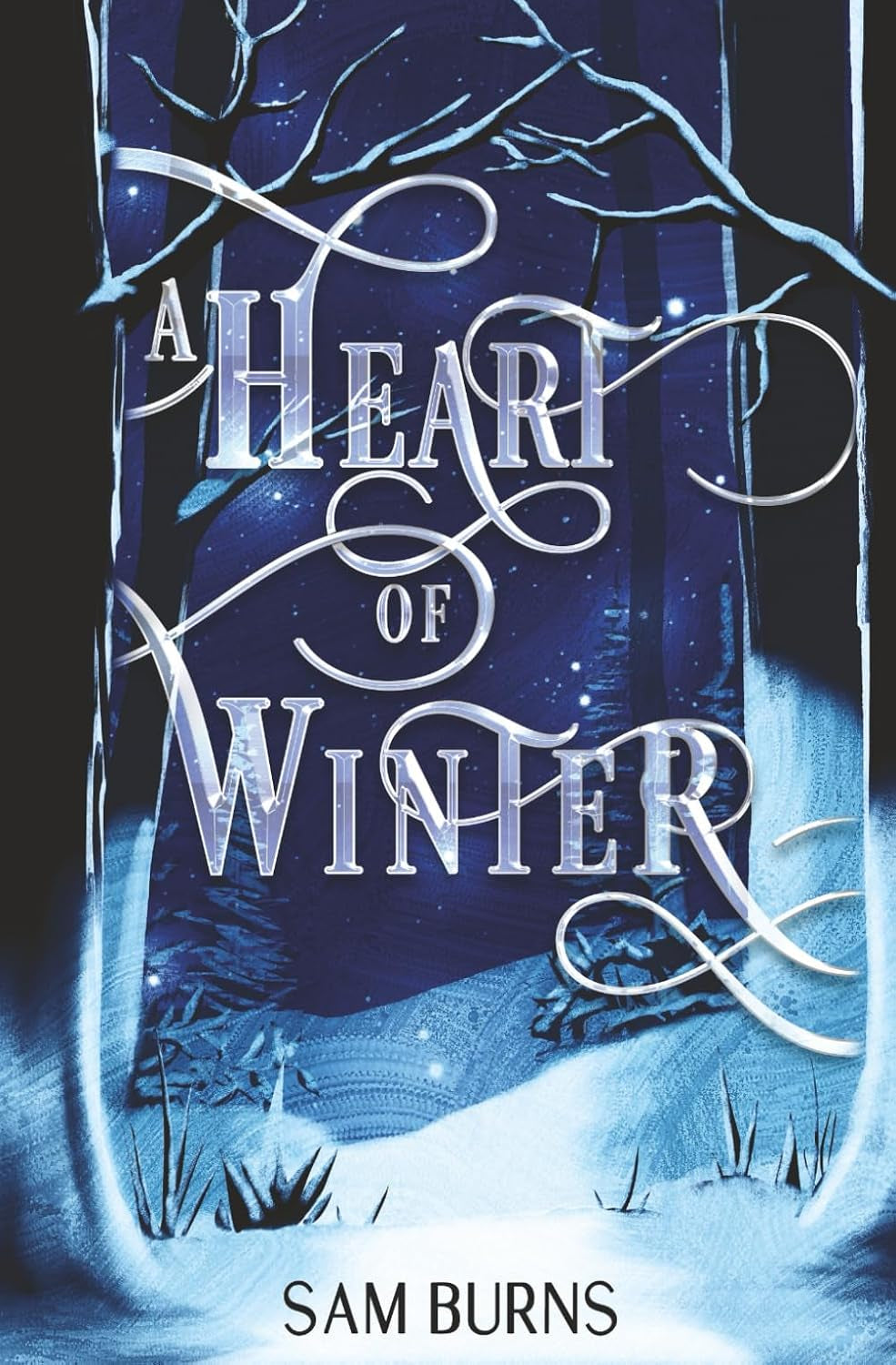 A Heart of Winter (Fairy Tale Retellings)