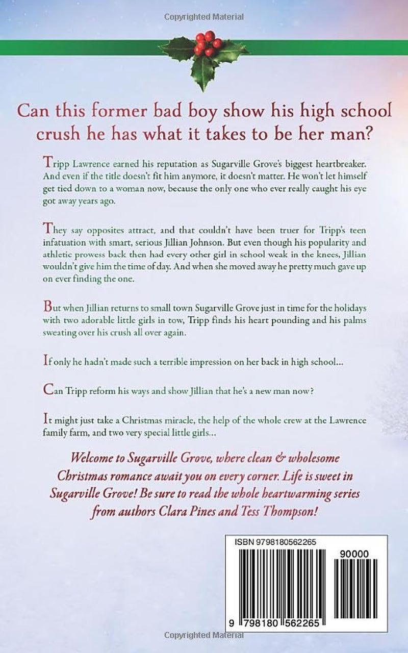 Sweet Trouble (A Small Town Christmas Romance): Sugarville Grove - Book 11