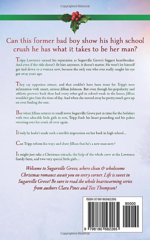 Sweet Trouble (A Small Town Christmas Romance): Sugarville Grove - Book 11