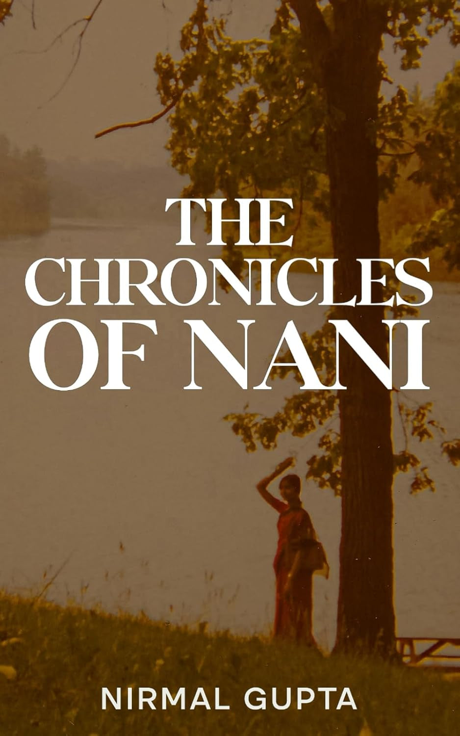 The Chronicles of Nani