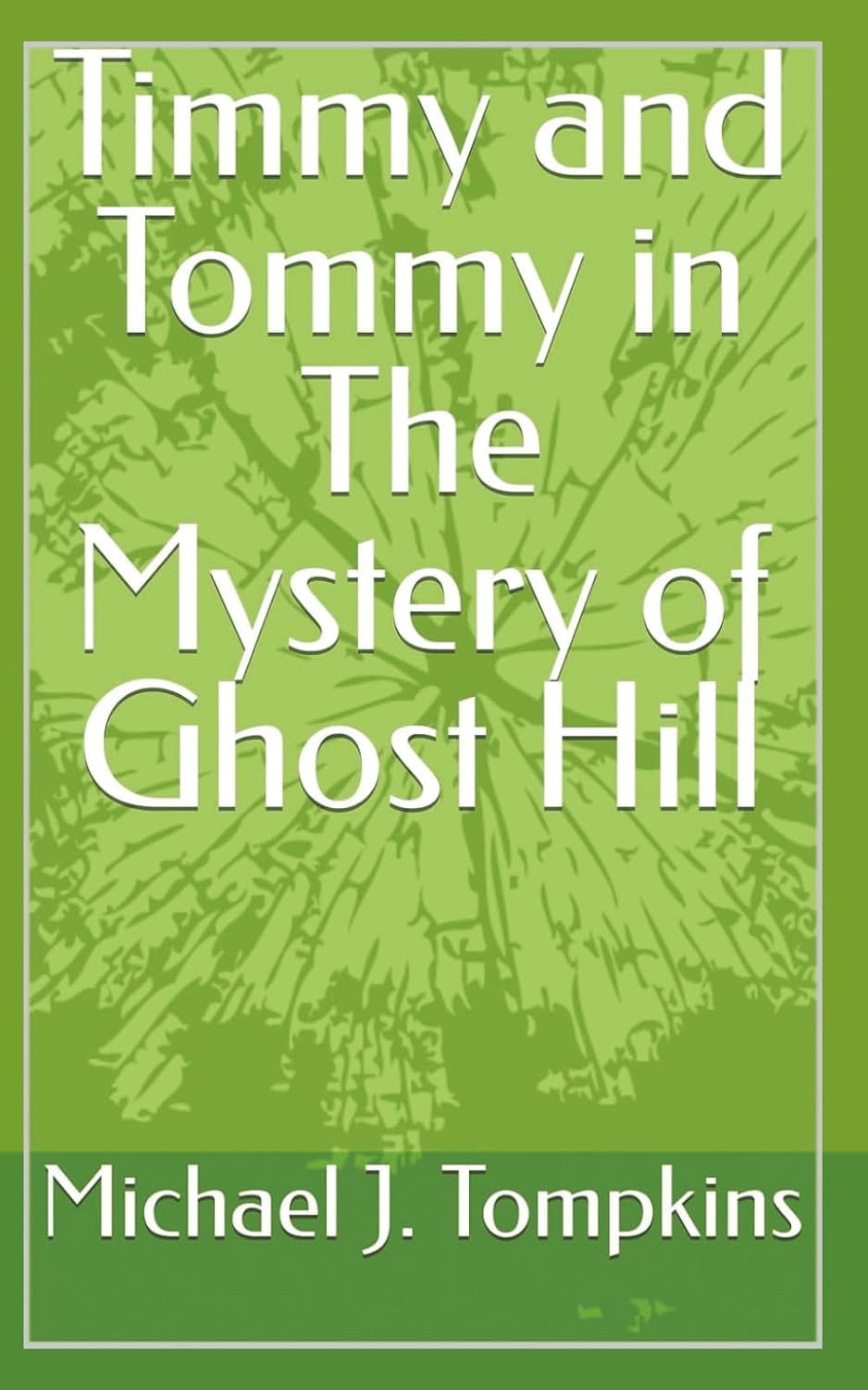 Timmy and Tommy in The Mystery of Ghost Hill