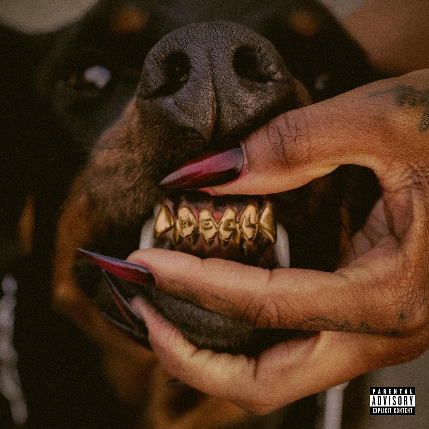 MUTT Deluxe: HEEL[Translucent Ruby 2 LP]