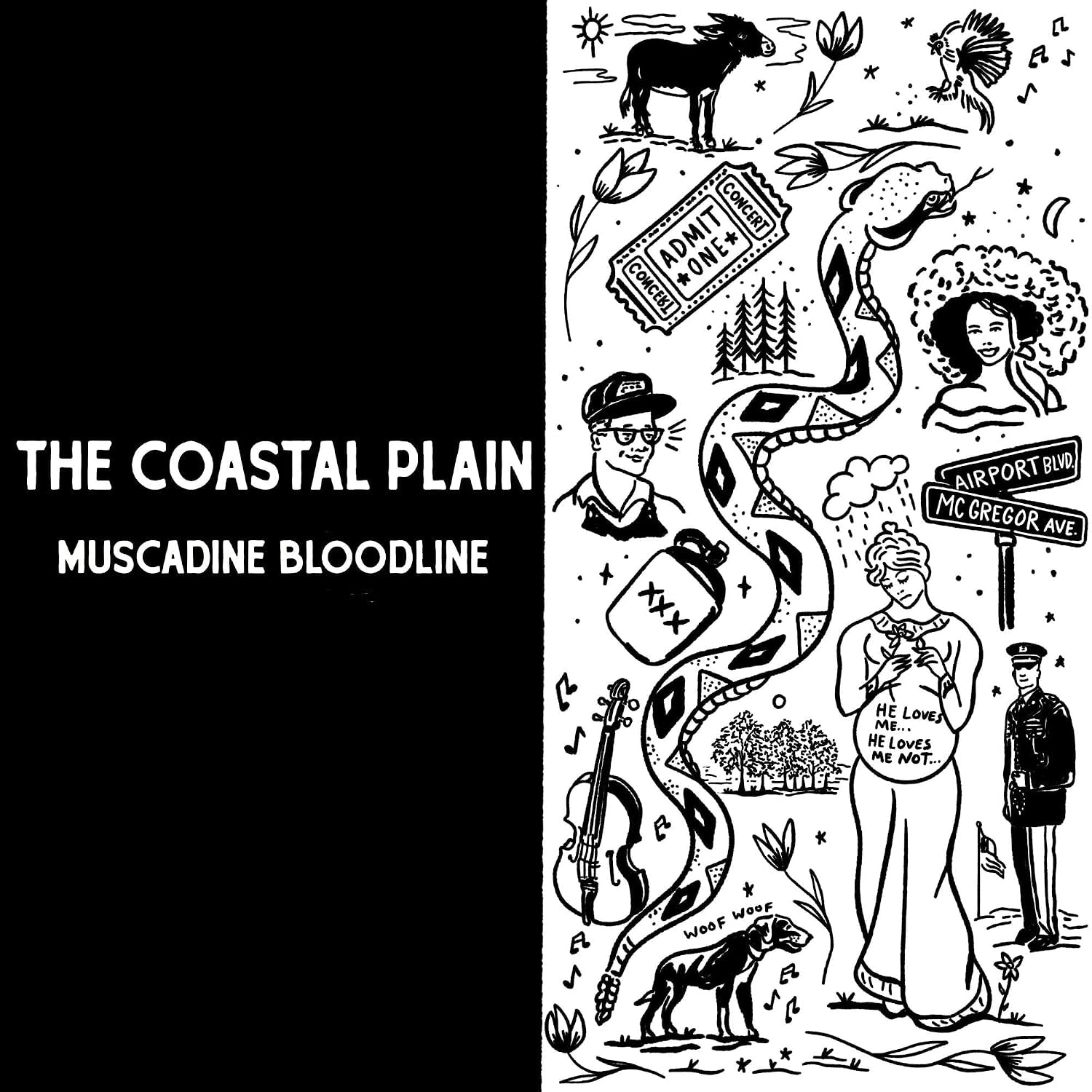 The Coastal Plain