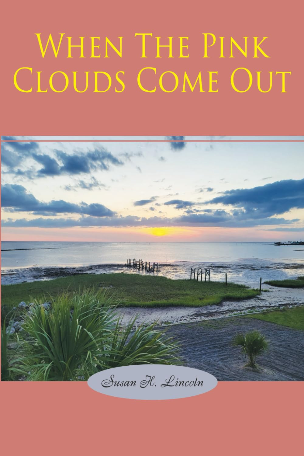 When the Pink Clouds Come Out