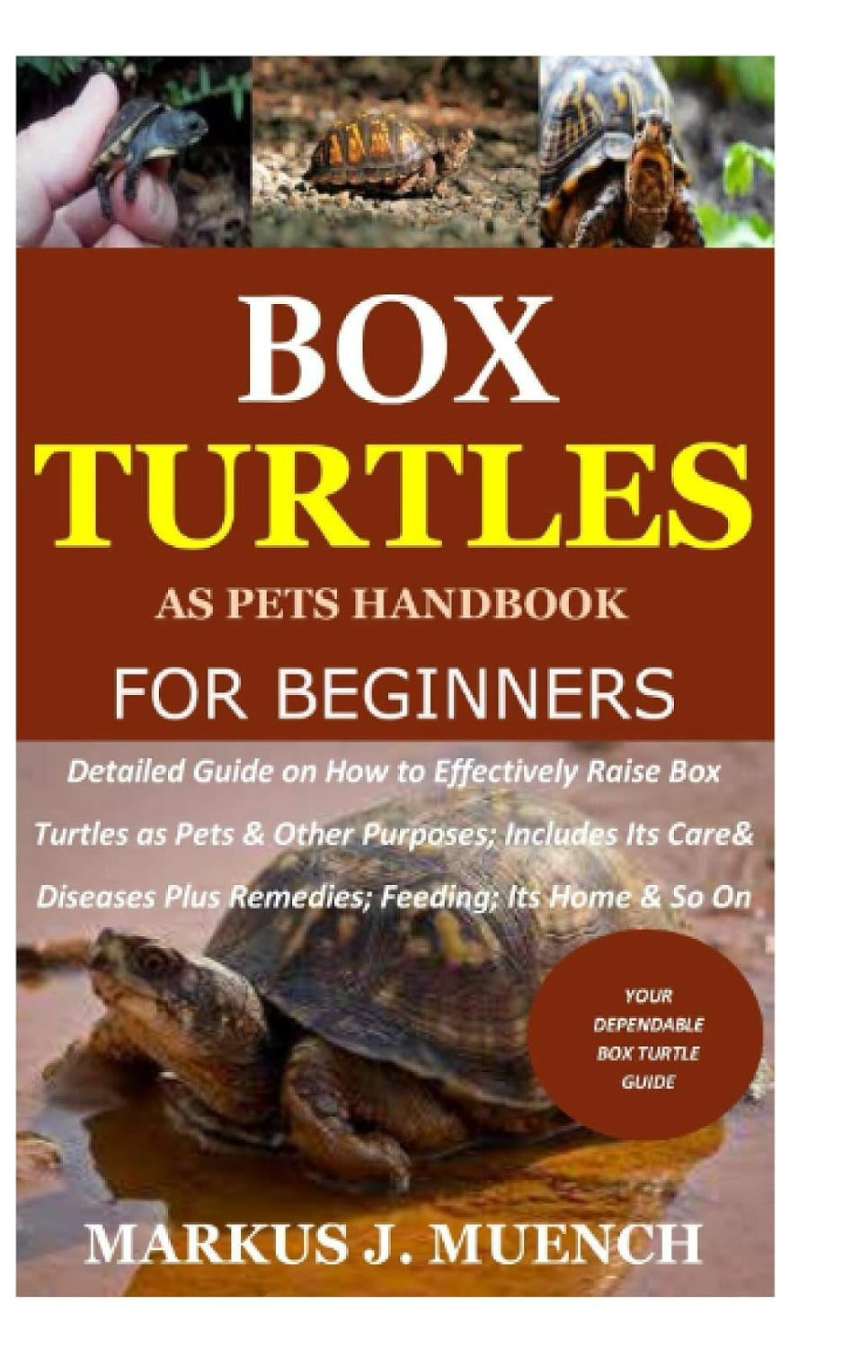 Box Turtles as Pets Handbook for Beginners: Detailed Guide on How to Effectively Raise Box Turtle as Pets & Other Purposes; Includes Its Care& Diseases Plus Remedies; Feeding; Its Home & So On
