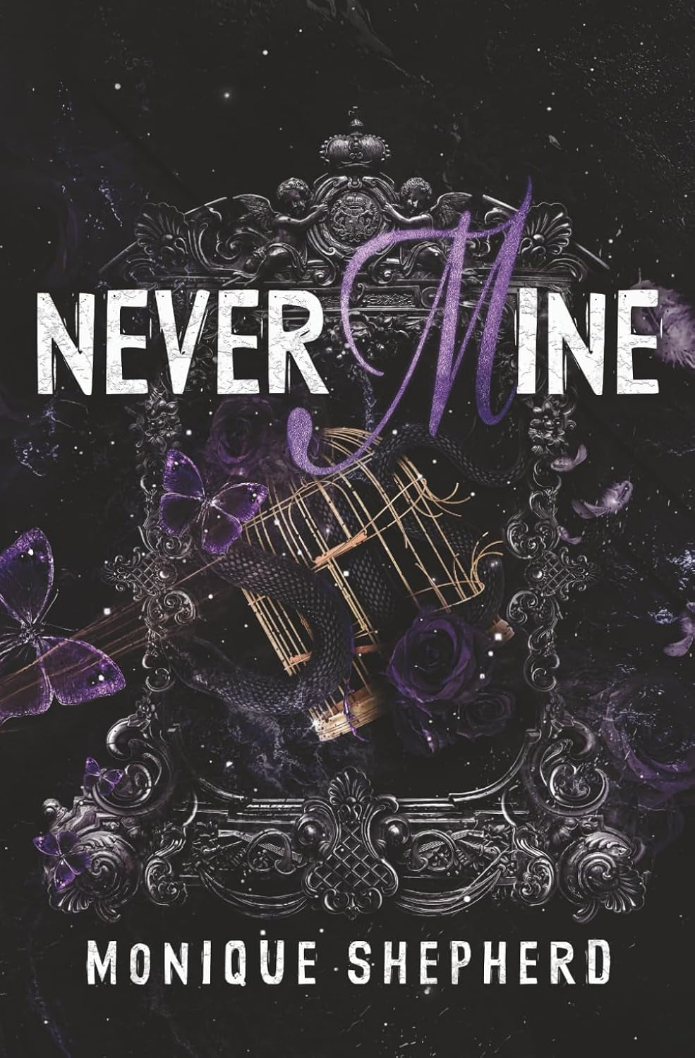 Never Mine: A Forbidden Age-Gap College Romance (The Never Never Duet)