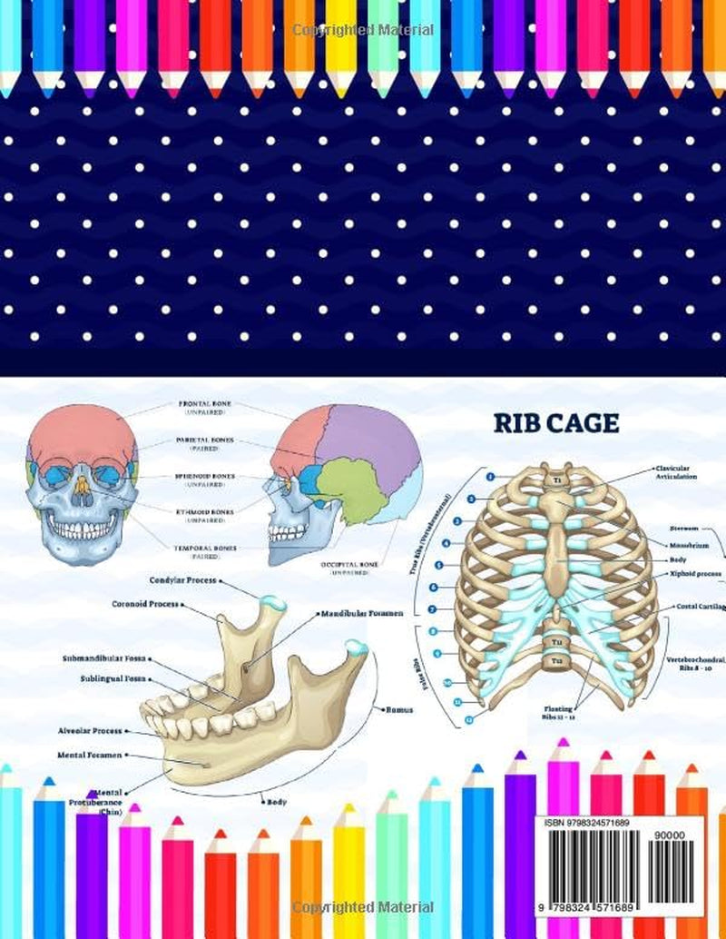 Human Skeletal System Coloring Book: Learn the Anatomy of the Skeletal System. Great Body System Anatomy Book For Kids Adults Teens and Medical Students.