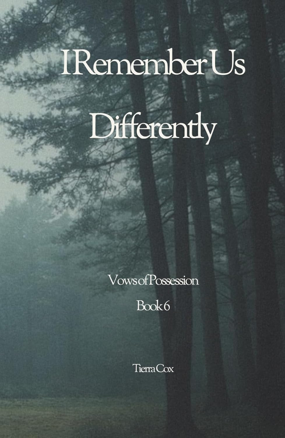 I Remember Us Differently: Vows of Possession Book 6