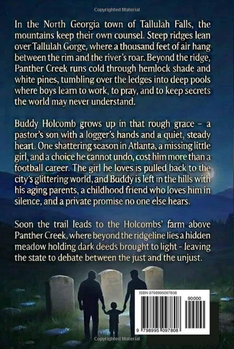 Meadow of Stones: A story of a man’s faith and love - promised and presented