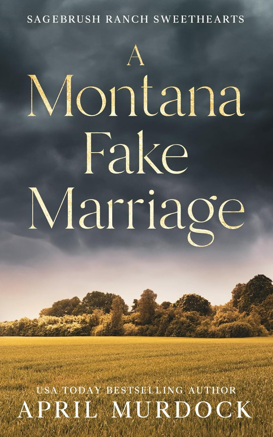 A Montana Fake Marriage