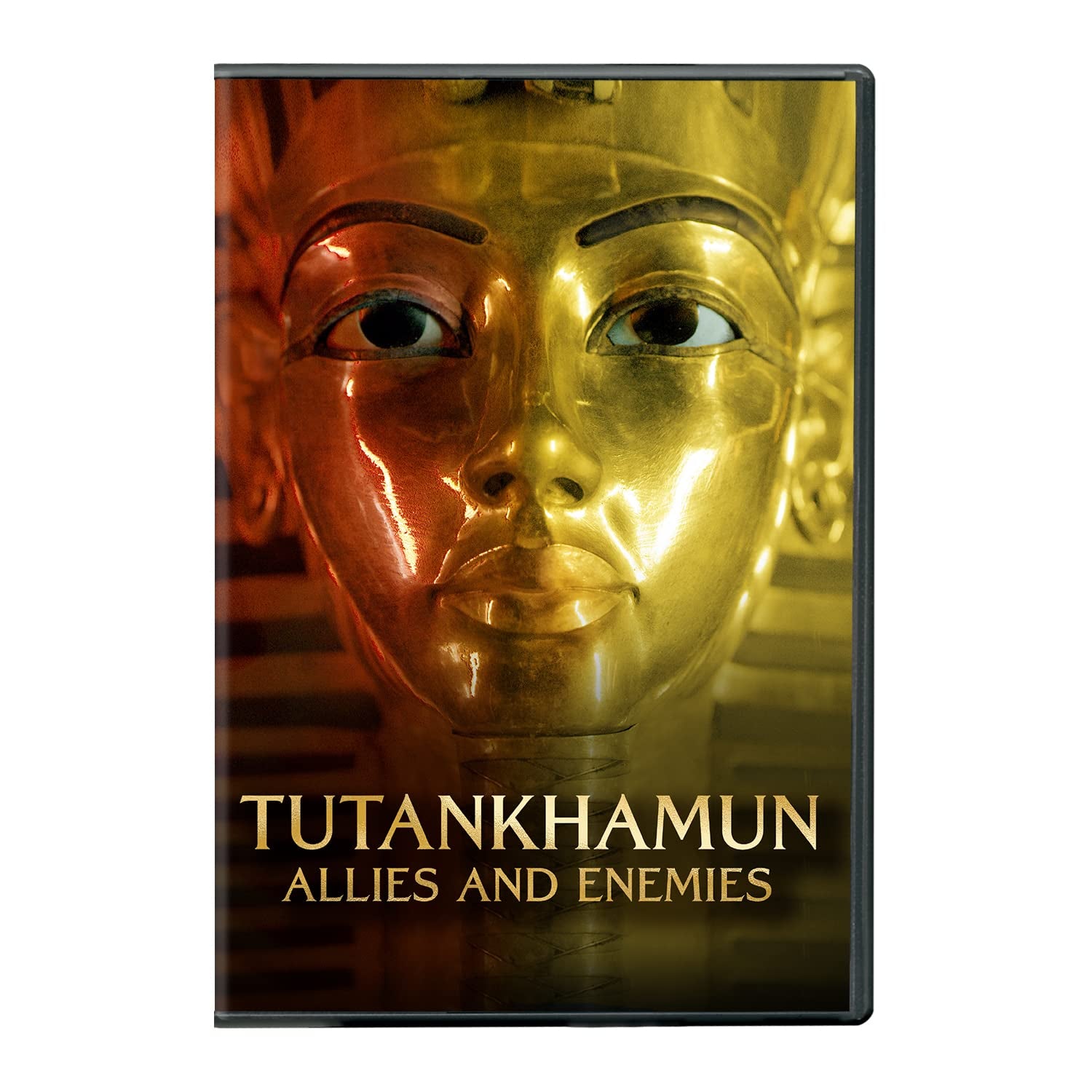 Tutankhamun: Allies And Enemies