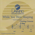 While You Were Sleeping Accompaniment/Performance Track
