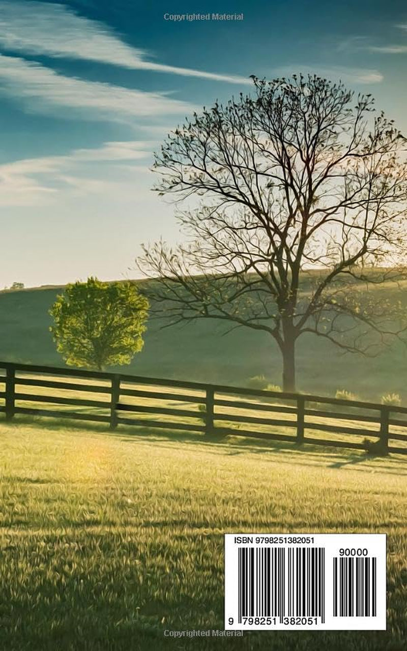 Where Love Unfolds: A Christian Cowboy Romance (Westward Hearts)