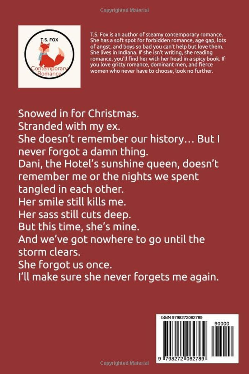 Rockstar's Christmas: Second Chance Amnesia Romance (Wild Stone Rockstars)