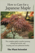 How to Care for a Japanese Maple: The Complete Guide to Perfect Pruning, Solving Leaf Scorch, and Keeping Your Acer Palmatum Healthy.