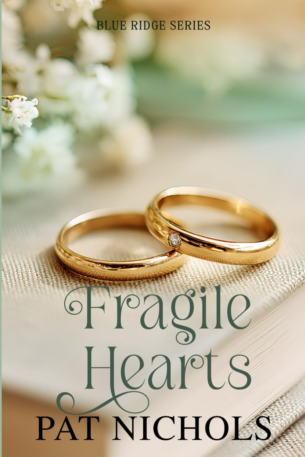 Fragile Hearts (Blue Ridge Series)