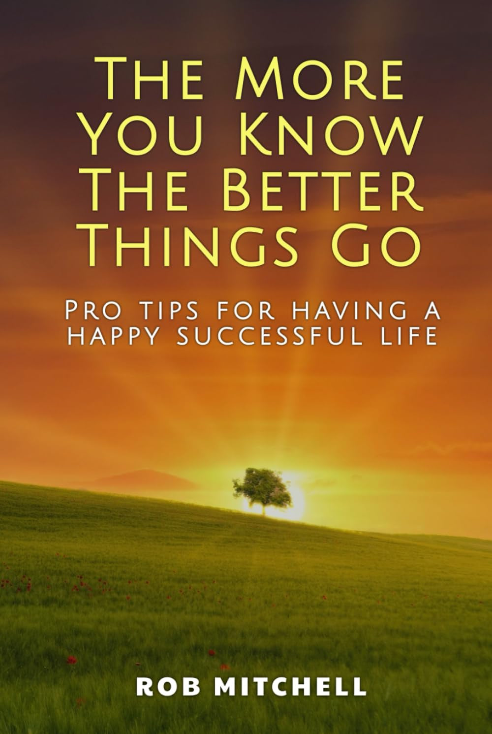 THE MORE YOU KNOW THE BETTER THINGS GO: Pro tips for having a happy successful life