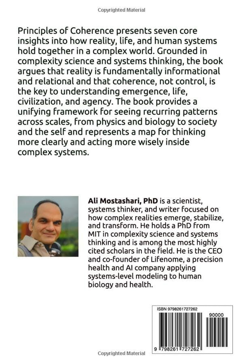 Principles of Coherence: Seven Insights into the Nature of Informational-Relational Reality (The Coherence Book Series)