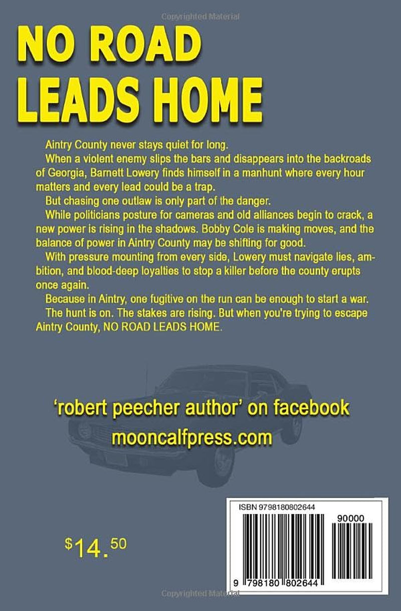 No Road Leads Home: a crime in dixie potboiler (A Barnett Lowery Deep-Fried Southern Justice Novel)