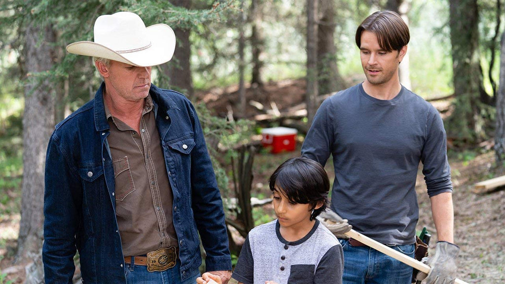 Heartland: The Complete Twelfth Season - DVD Box Set
