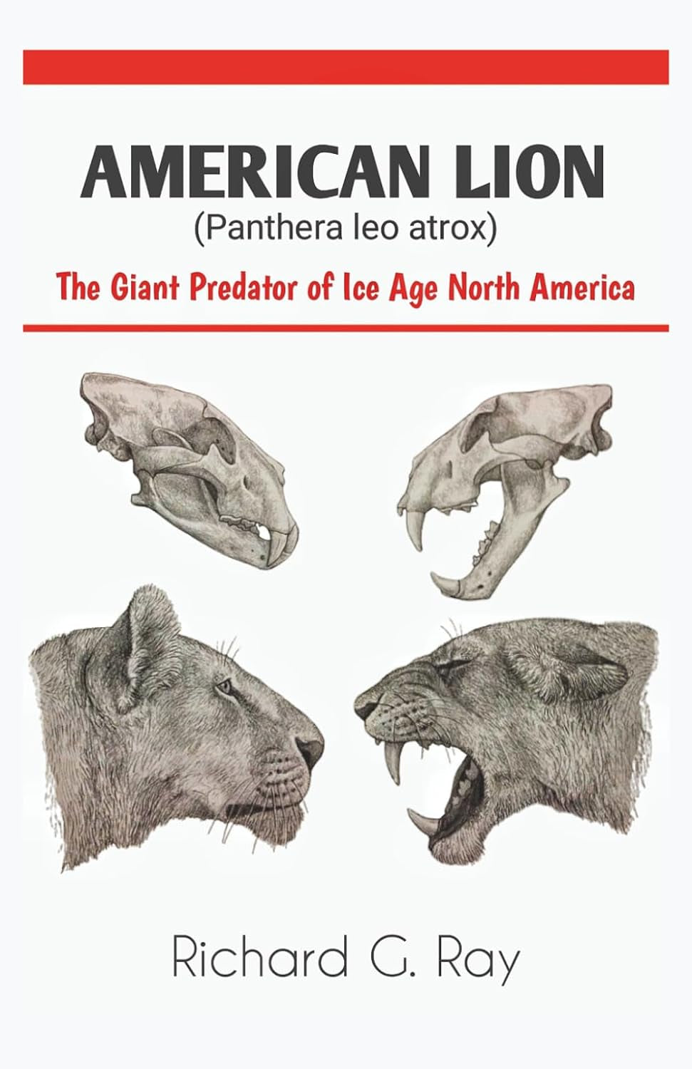 AMERICAN LION (Panthera leo atrox): The Giant Predator of Ice Age North America (PREHISTORIC ANIMALS SERIES)