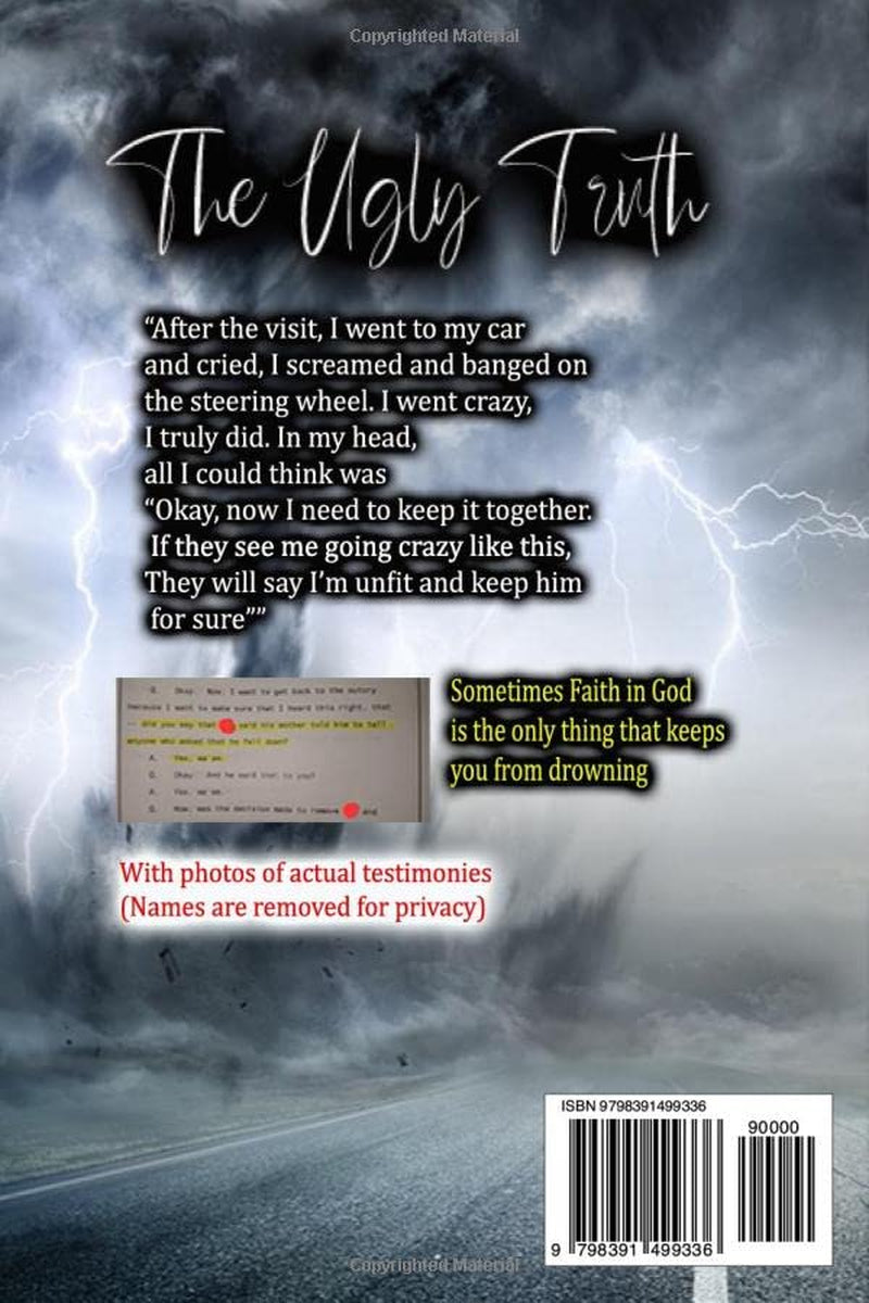 The Ugly Truth: A story about events that led to the loss of custody of my son