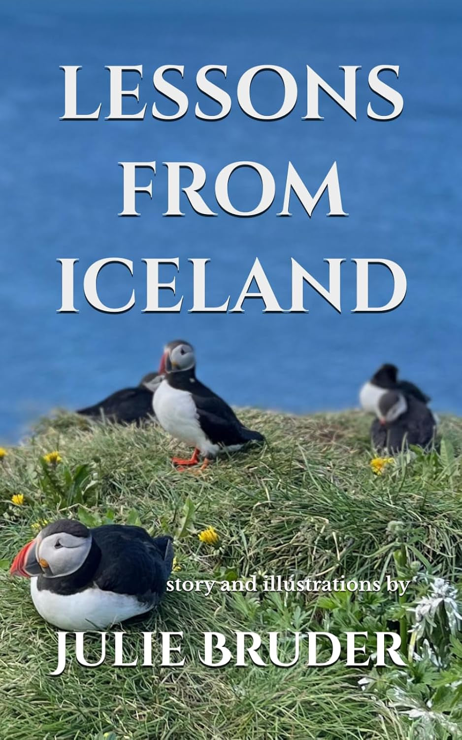 Lessons from Iceland