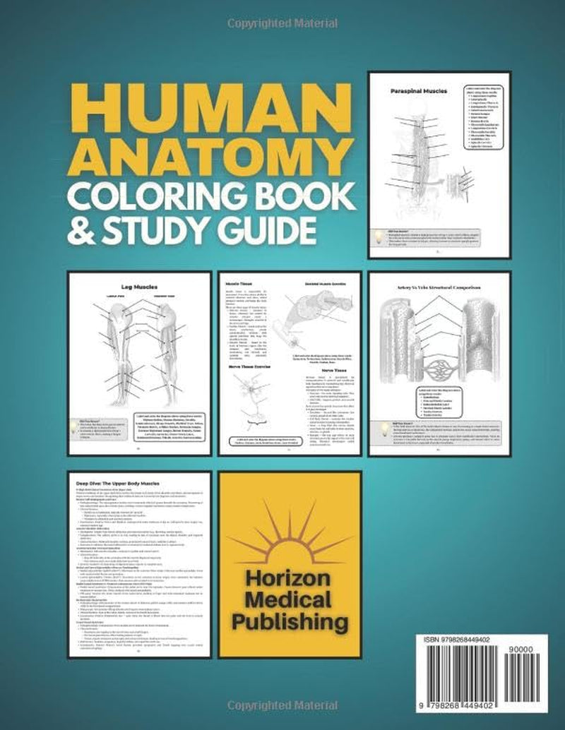 Human Anatomy Coloring Book and Study Guide: 150+ Hyper-Realistic Anatomical Illustrations, 50+ In-depth Anatomy and Physiology Study Guide Pages, and ... Medical, Nursing, and Healthcare Students.
