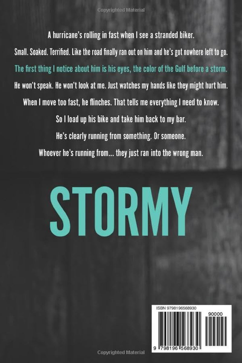 Stormy: An MM Romance (The Florida Panhandle Series)