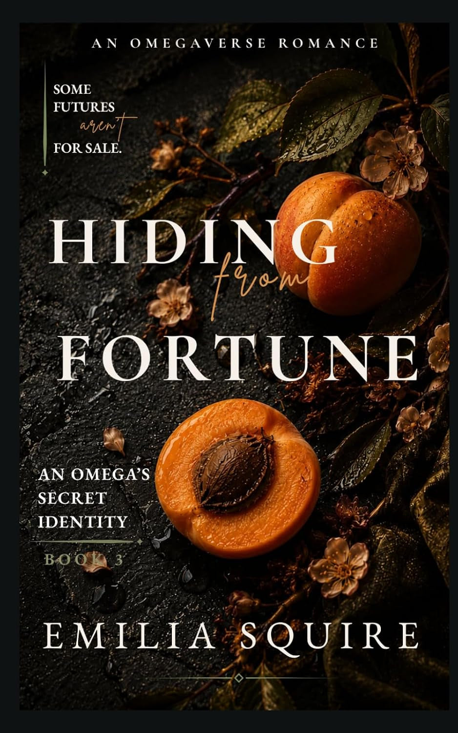 Hiding from Fortune: An Omega's Secret Identity Book 3