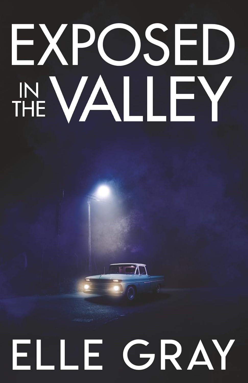 Exposed in the Valley (A Sapphire Valley Mystery)
