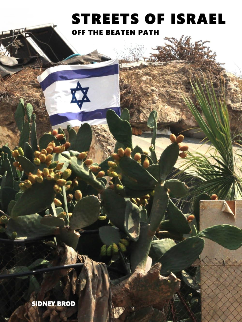 Streets of Israel: Off The Beaten Path - Coffee Table Photo Collection