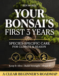 Your Bonsai’s First 3 Years: A Practical Roadmap to Keep it Alive & Thriving, Without Beginner Mistakes | Understand Your Tree, Know What to Do & When with Species-Specific Care for Climate & Season