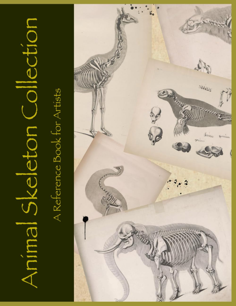 The Animal Skeleton Collection: An Osteology reference book for artists and designers