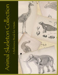 The Animal Skeleton Collection: An Osteology reference book for artists and designers