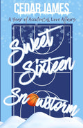 Sweet Sixteen Snowstorm (A Year of Accidental Love Affairs)