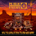 What You Gonna Do When The Grid Goes Down? Explicit Lyrics