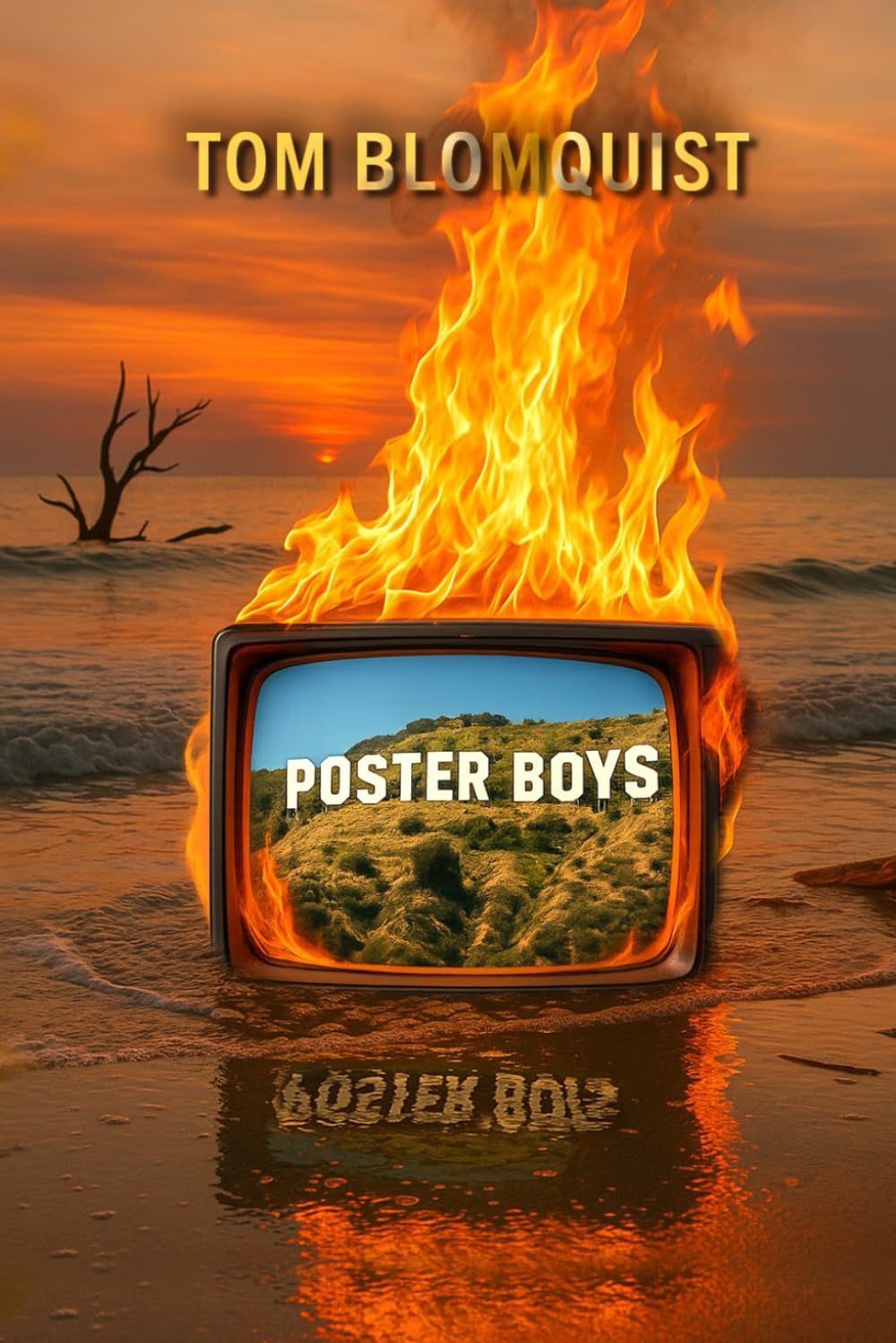 Poster Boys: Writers Behaving Badly
