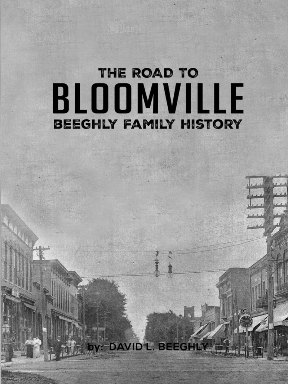 The Road To Bloomville: Beeghly Family History