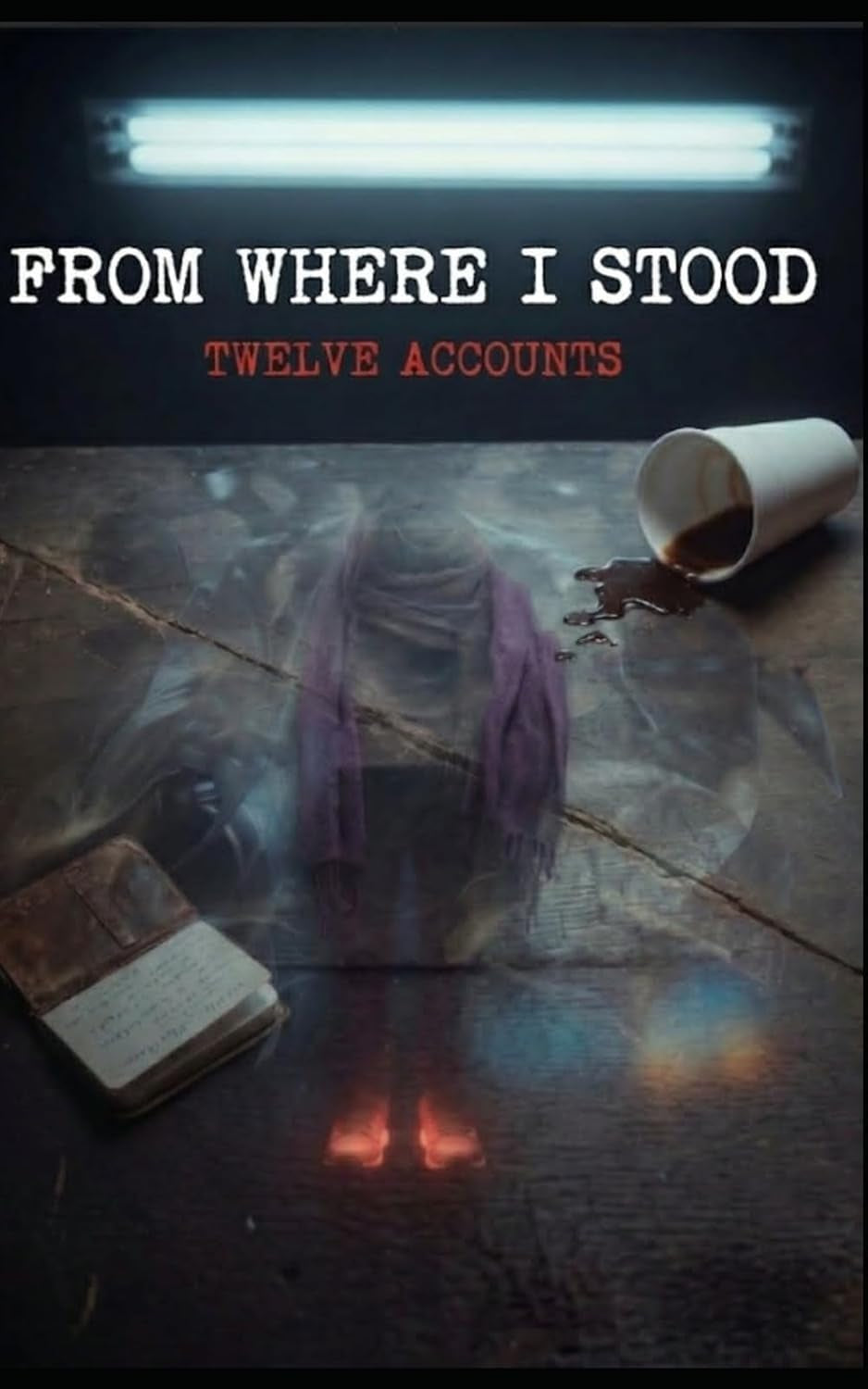 From Where I Stood: Twelve Accounts